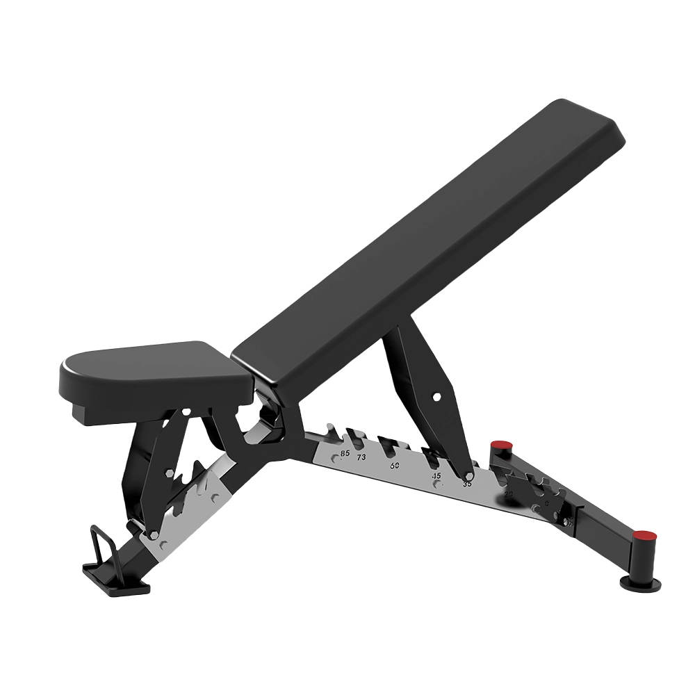 Sawgym AC-CJ14 Adjustable Bench