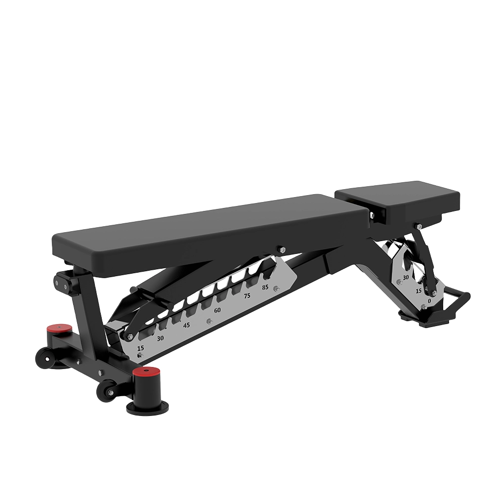 Sawgym AC-CJ36 Adjustable Bench